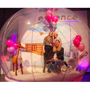 Snow Globe Snow Globe